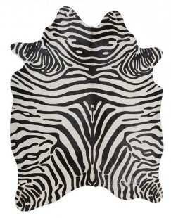 Upholstery Zebra on White 